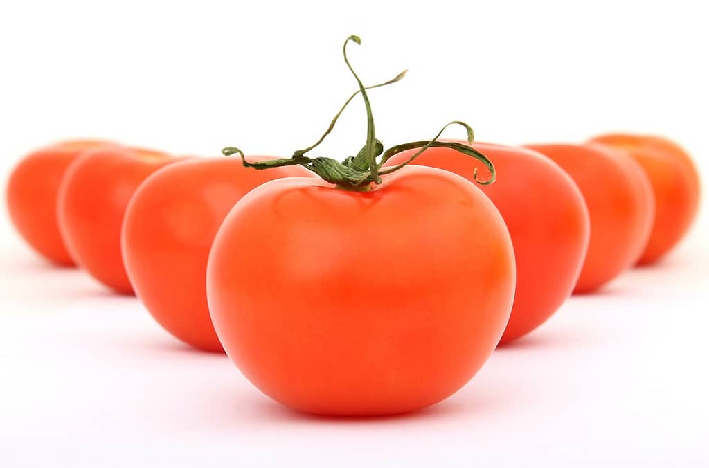 tomatoes, vegetables, food-1239177.jpg